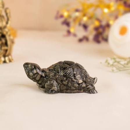 Pyrite Tortoise